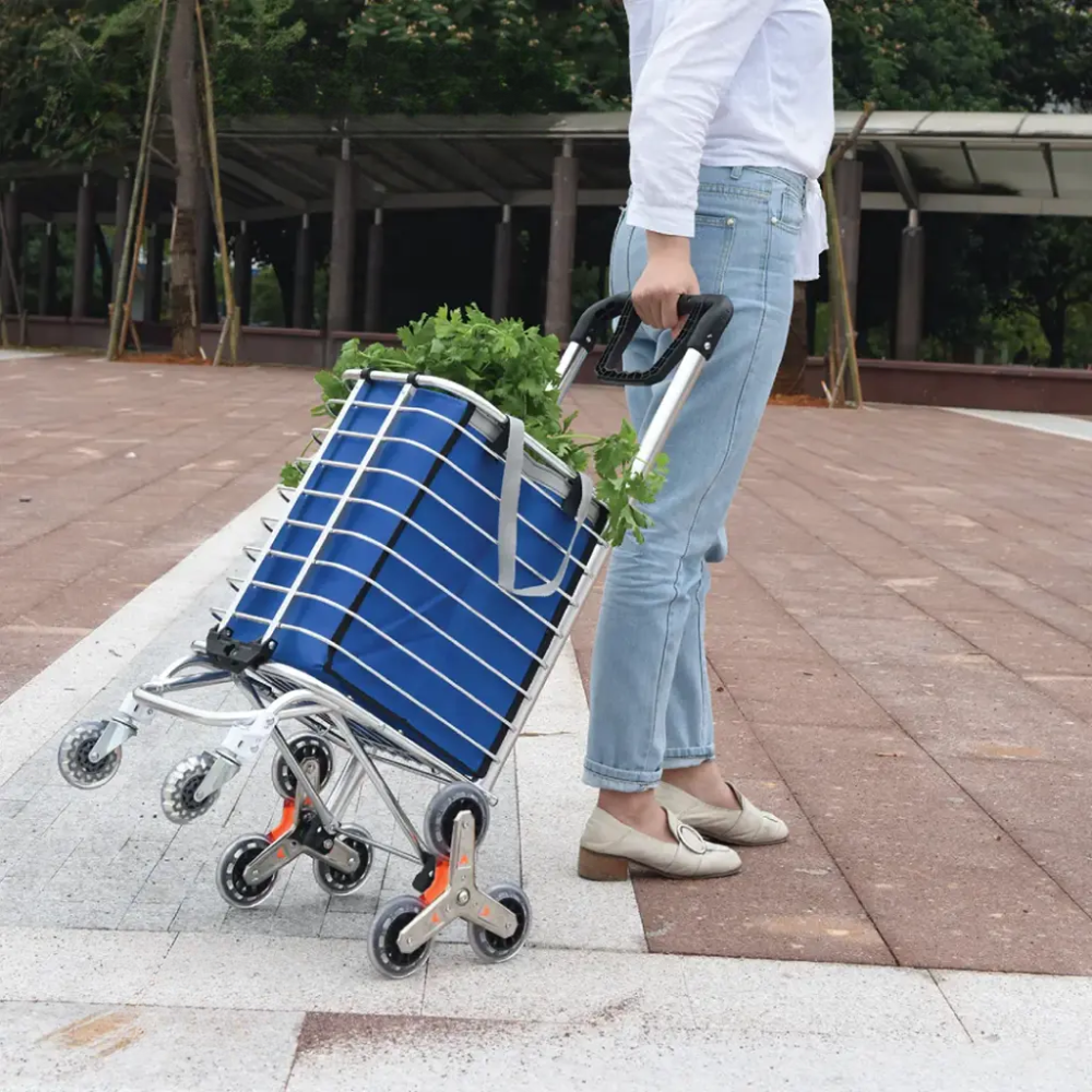 Green Lion - Foldable Shopping Trolley