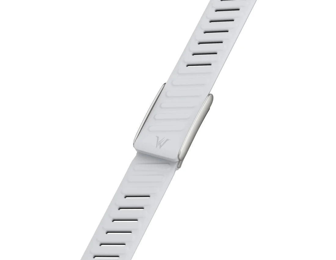 وزرد - سير ووب 5.0 السيليكون