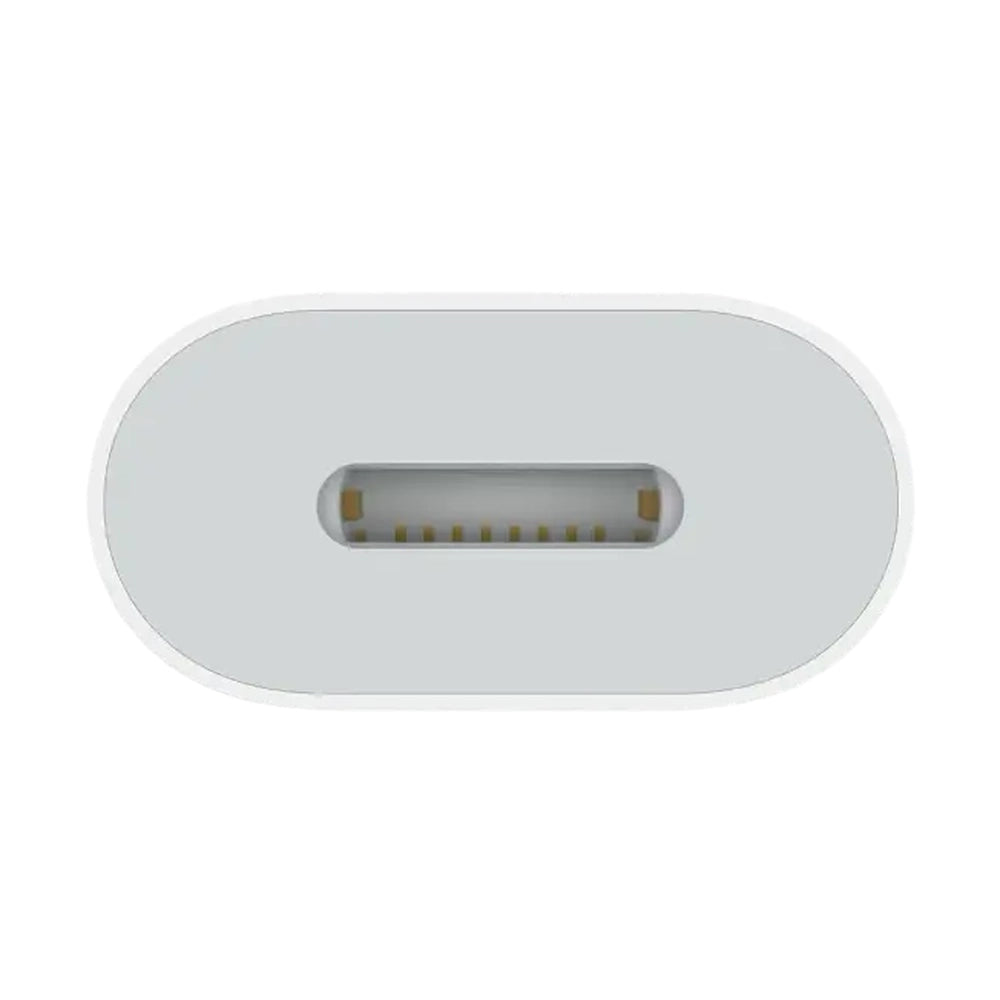 Detail view of gold-plated Lightning female port contacts
