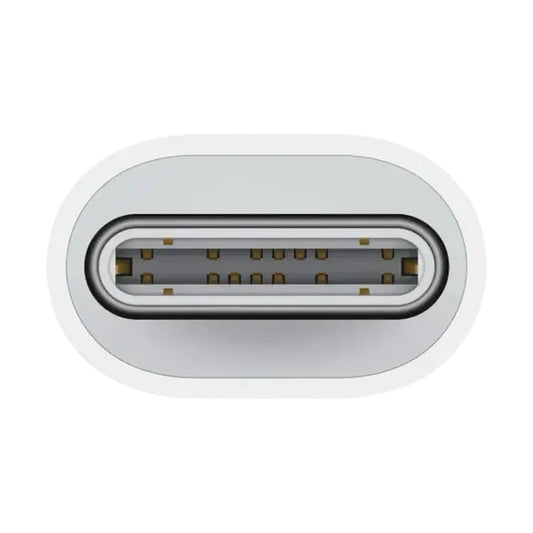 Close-up of gold-plated USB-C male connector on white adapter