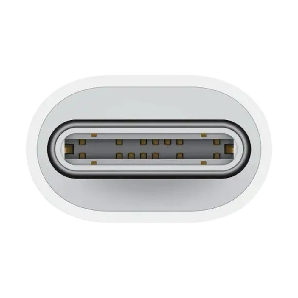 Close-up of gold-plated USB-C male connector on white adapter