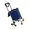 Green Lion - Foldable Shopping Trolley