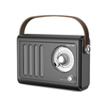Green Lion - Vintage Radio Speaker