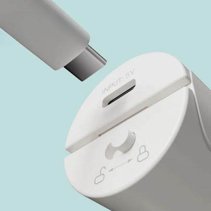 Momax - Hair Straightener