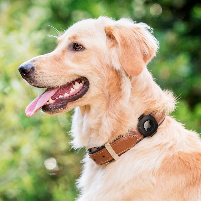 Spigen - Pet AirTag Case
