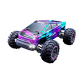 Gallop - Off-Road RC Car