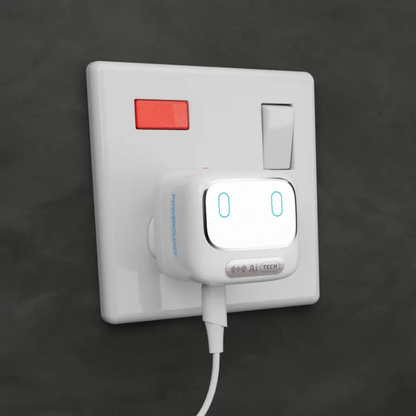 Powerology - 45W Ai Wall Charger