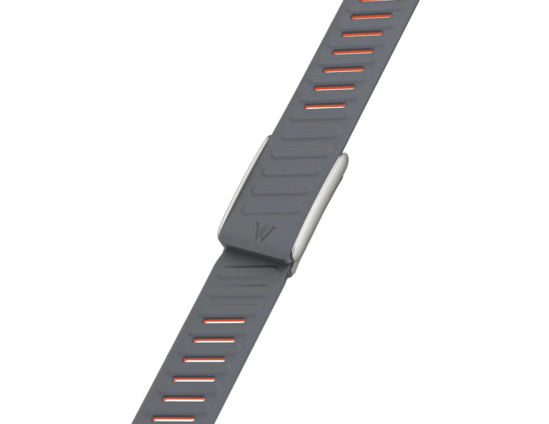 وزرد - سير ووب 5.0 السيليكون