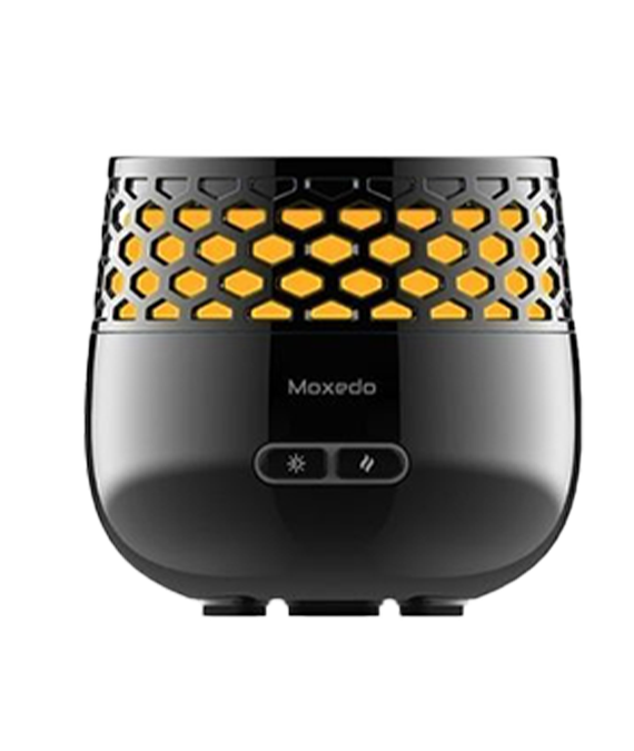 MINI IRON DUAL VOLTAGE 240\120